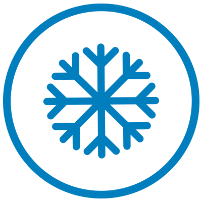 ice ico
